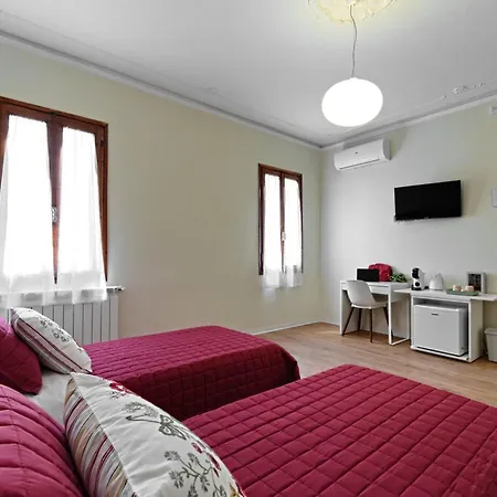 Solandra Masi ミーラ